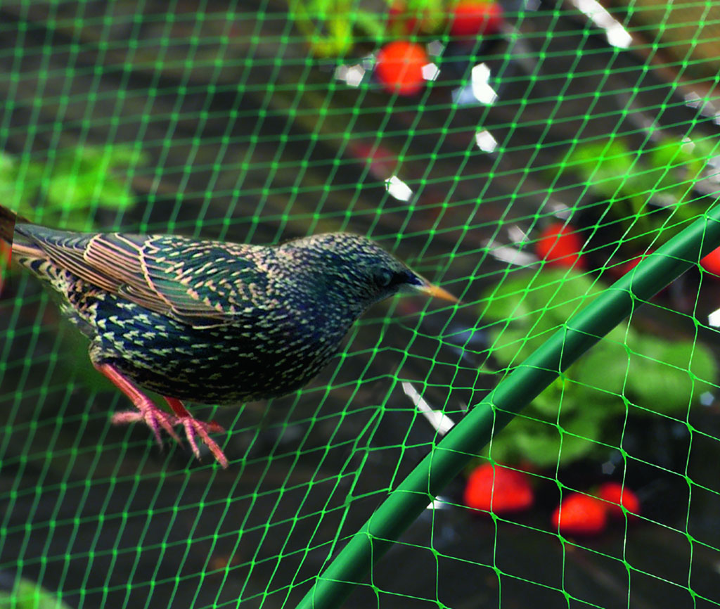 Pigeon Nets for Balconies +91 99012 39922 - Latest update - Bird Nets In Marathahalli