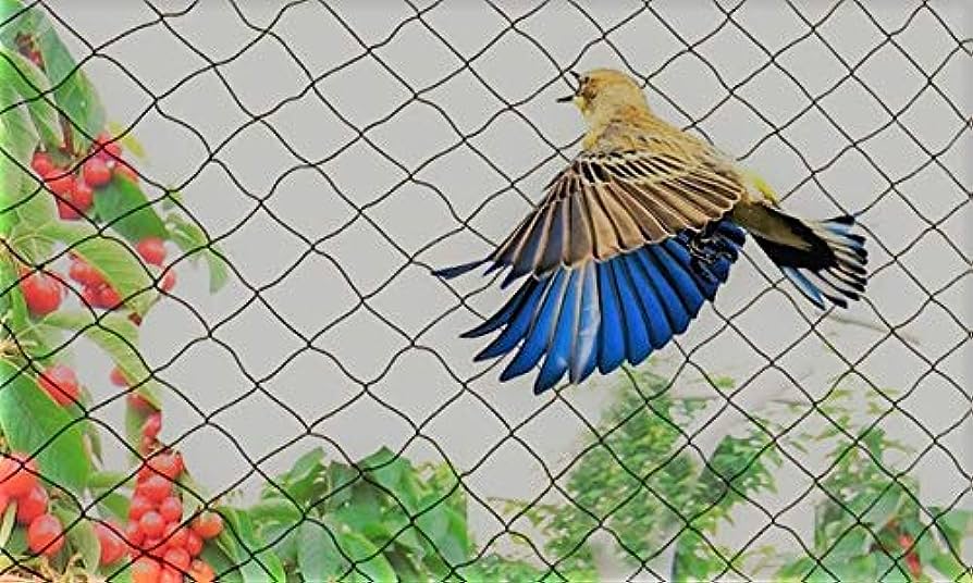 Pigeon Nets for Balconies +91 99012 39922 - Latest update - Bird Nets For Balcony In Malleswaram