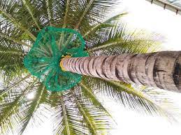 Pigeon Nets for Balconies +91 99012 39922 - Album - Coconut Tree Safety Nets Dealers In Bangalore