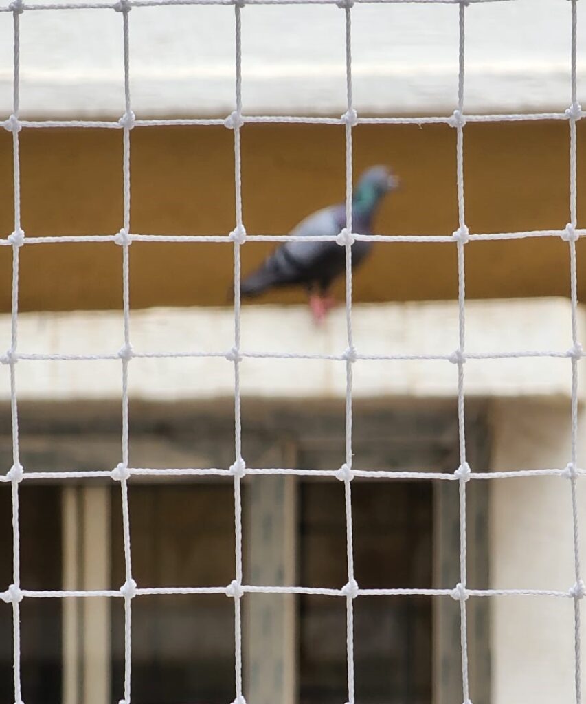 Pigeon Nets for Balconies +91 99012 39922 - Latest update - Pigeon Safety Nets In Sarjapur road  Contact : +91 9901239922