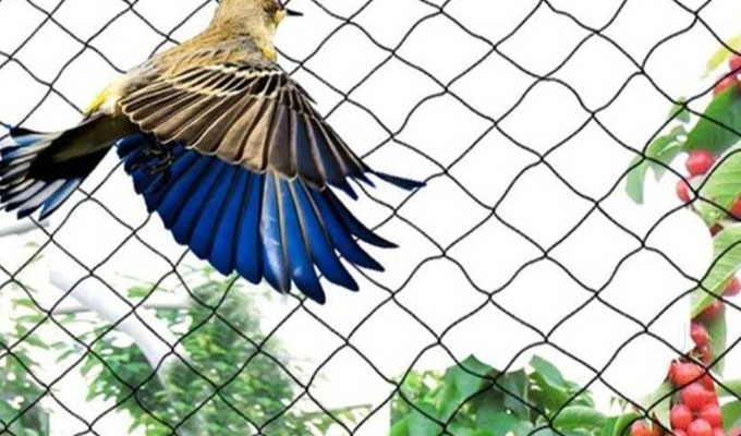 Pigeon Nets for Balconies +91 99012 39922 - Latest update - Anti Bird Nets In Marathahalli