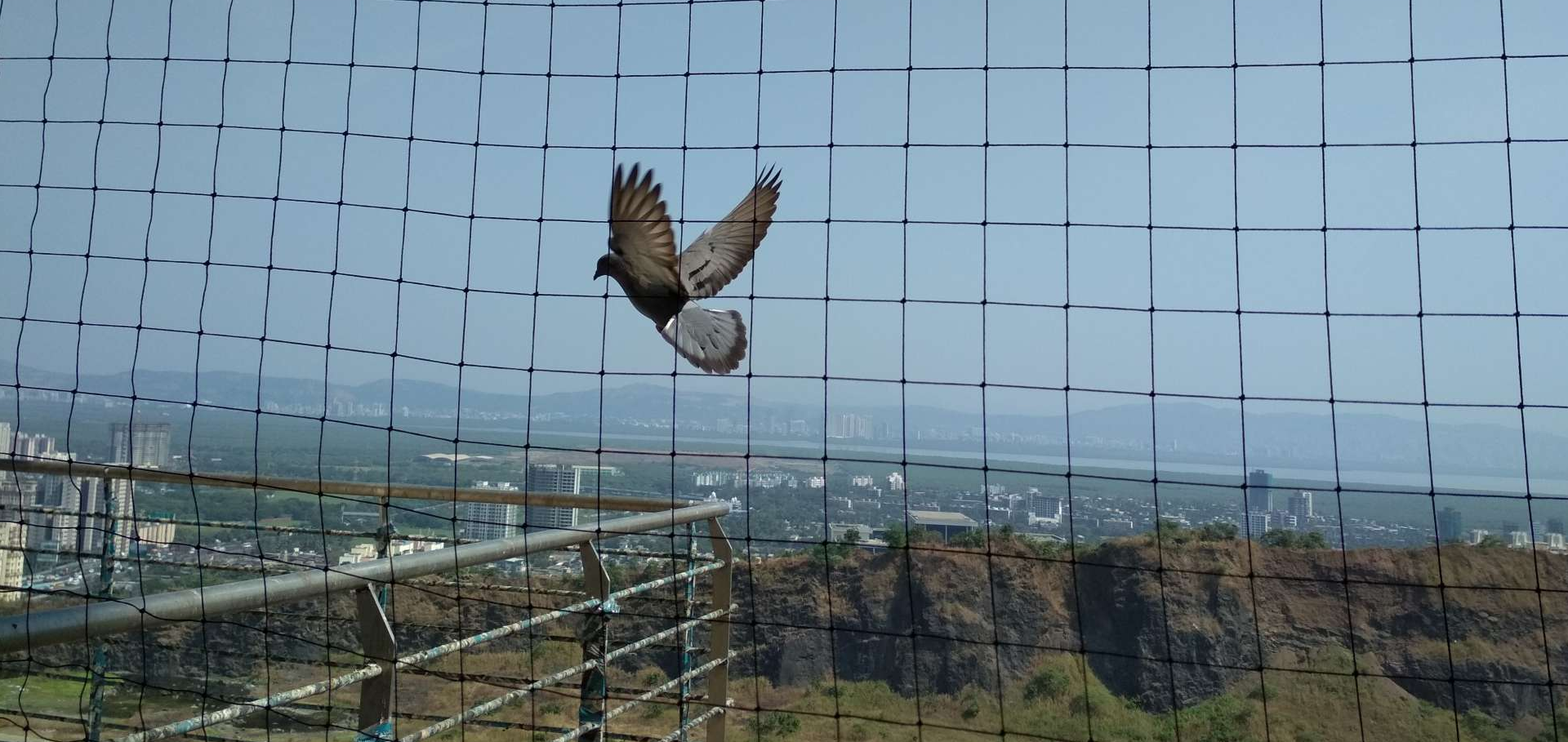 Pigeon Nets for Balconies +91 99012 39922 - Latest update - Pigeon Safety Nets For Apartment In Bangalore