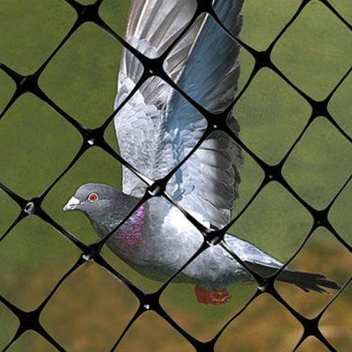 Bird Nets In Whitefield  Pigeon Nets for Balconies +91 99012 39922