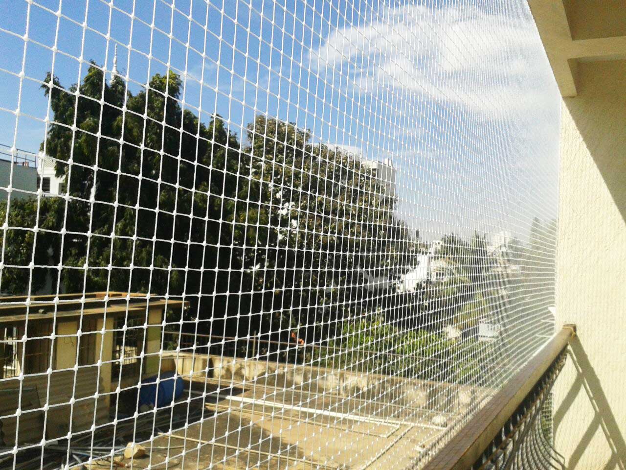 Pigeon Nets for Balconies +91 99012 39922 - Latest update - HDPE Nets And Nylon Nets In Marathahalli