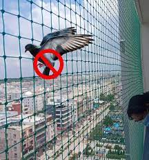 Pigeon Nets for Balconies +91 99012 39922 - Latest update - Pigeon Netting In Vijayawada