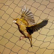 Pigeon Nets for Balconies +91 99012 39922 - Latest update - Birds Safety Nets Manufacturers In Electronic City Contact : 99012 39922