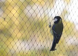 Pigeon Nets for Balconies +91 99012 39922 - Latest update - Anti-Birds Safety Nets In Mahadevpura