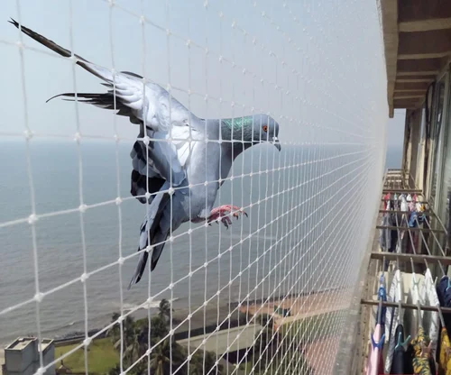 Pigeon Nets for Balconies +91 99012 39922 - Latest update - Pigeon Netting In Visakhapatnam