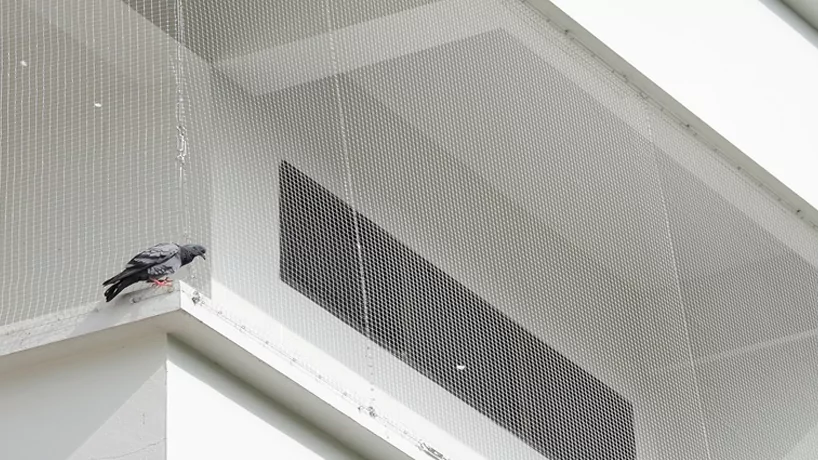 Pigeon Nets for Balconies +91 99012 39922 - Latest update - Pigeon Safety Nets For Apartments In Marathahalli