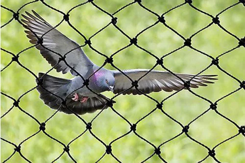 Pigeon Nets for Balconies +91 99012 39922 - Latest update - Bird Netting In Sarjapur Road