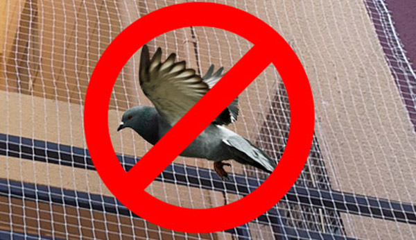 Pigeon Nets for Balconies +91 99012 39922 - Latest update - Bird Netting in Visakhapatnam