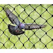 Pigeon Nets for Balconies +91 99012 39922 - Latest update - Bird Netting In Marathahalli