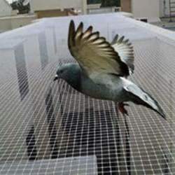 Pigeon Nets for Balconies +91 99012 39922 - Latest update -  Pigeon Safety Nets In Mahadevpura  Contact : +91 9901239922  